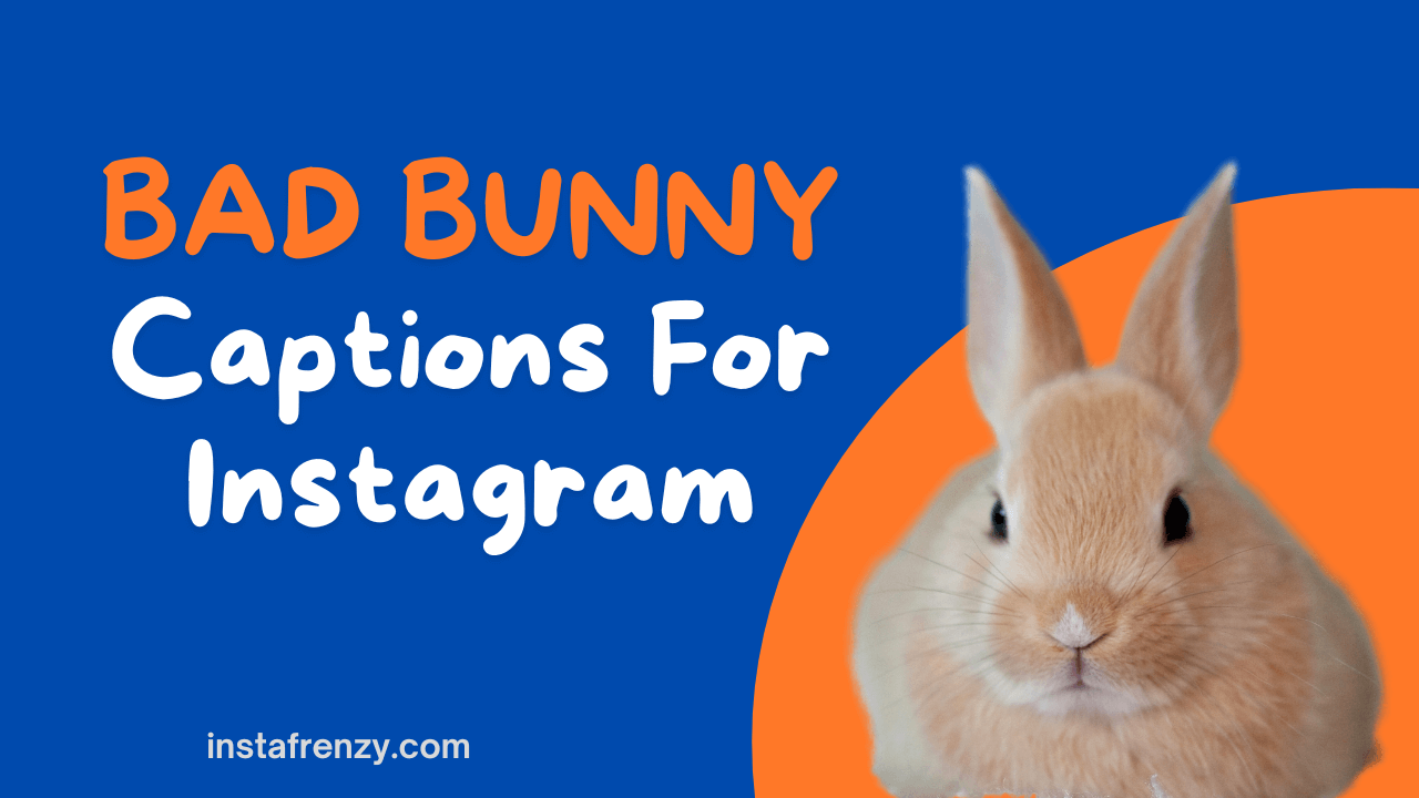 bad bunny captions for instagram